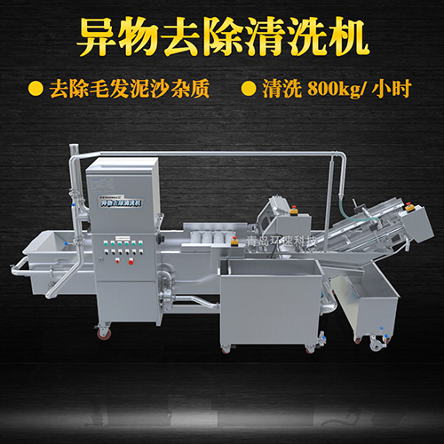 果蔬氣泡清洗機，清洗800kg小時，果蔬氣泡清洗機