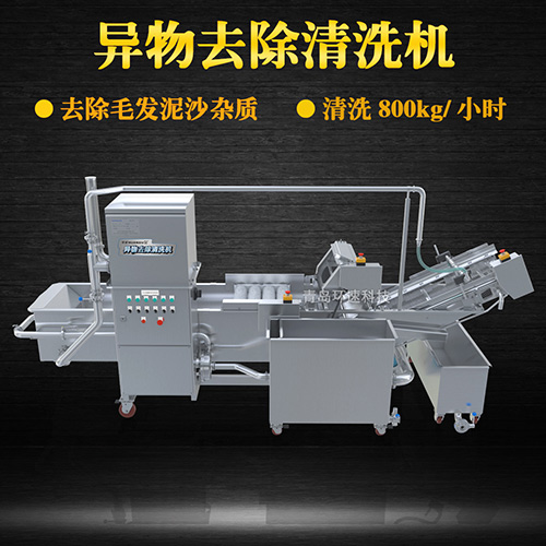 果蔬自動清洗機，清洗800kg小時，果蔬自動清洗機